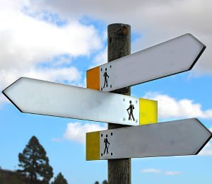 Understand Prerequisites & Pathways